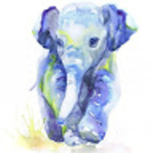 Meet your Posher, Liz